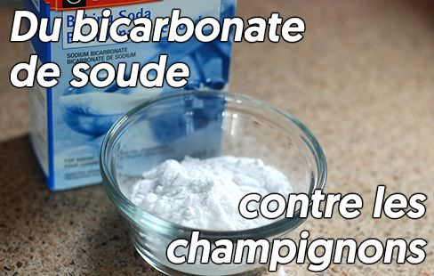 Du bicarbonate de soude contre les champignons du lave-vaisselle