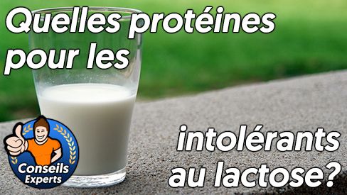 Quelles protéines pour une intolérance au lactose?
