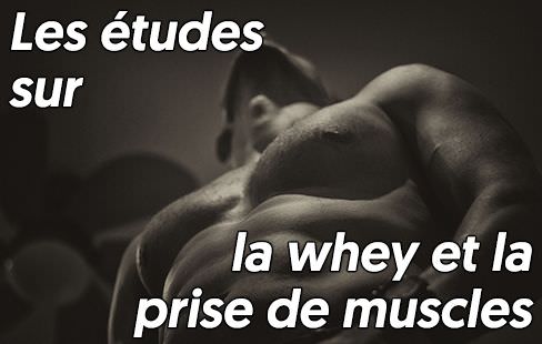 les études sur les effets de la whey protéine sur les muscles